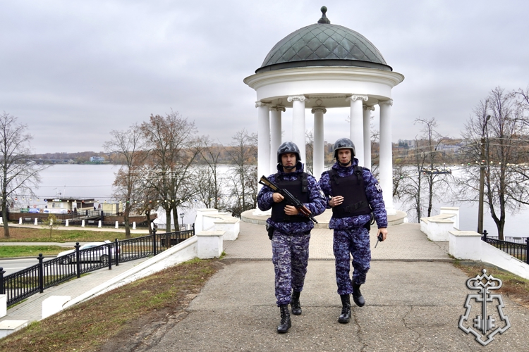 8 правонарушений пресекли сотрудники вневедомственной охраны Росгвардии за последнюю неделю в Костроме