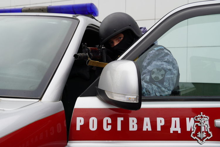 17 правонарушений пресекли сотрудники вневедомственной охраны Росгвардии за последнюю неделю в Костроме