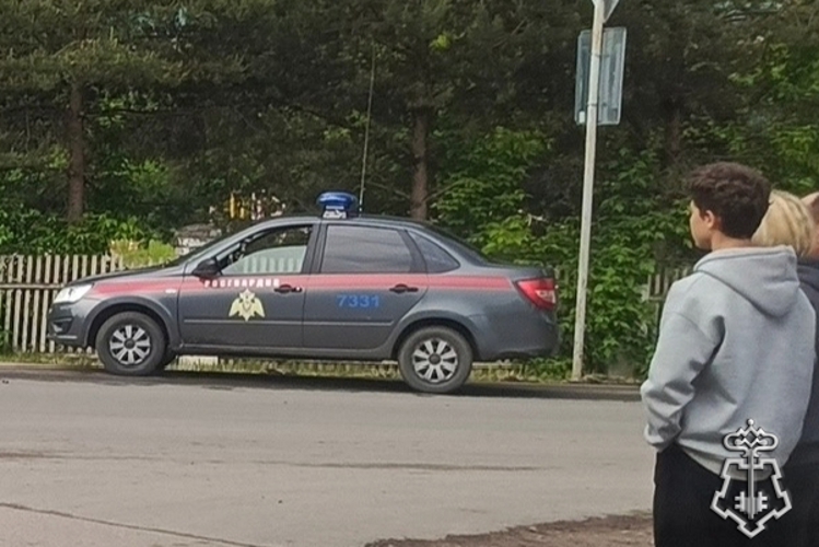 В Буе сотрудники вневедомственной охраны Росгвардии оказали помощь пострадавшему в дорожно-транспортном происшествии